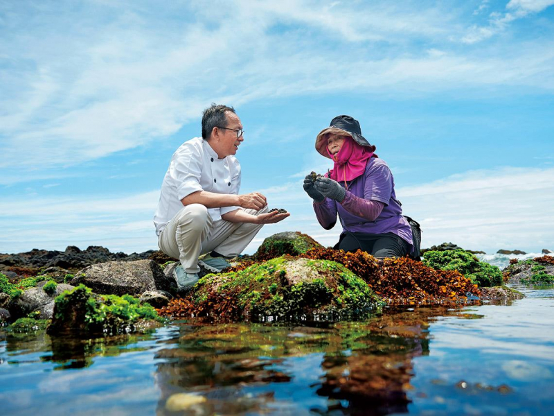 在潮間帶撿拾的海女