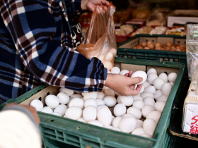 芬普尼蛋風暴／「管制期間違規賣蛋！」彰化文雅畜牧場銷4萬顆毒雞蛋…早餐店、散戶中鏢，食藥署說話了