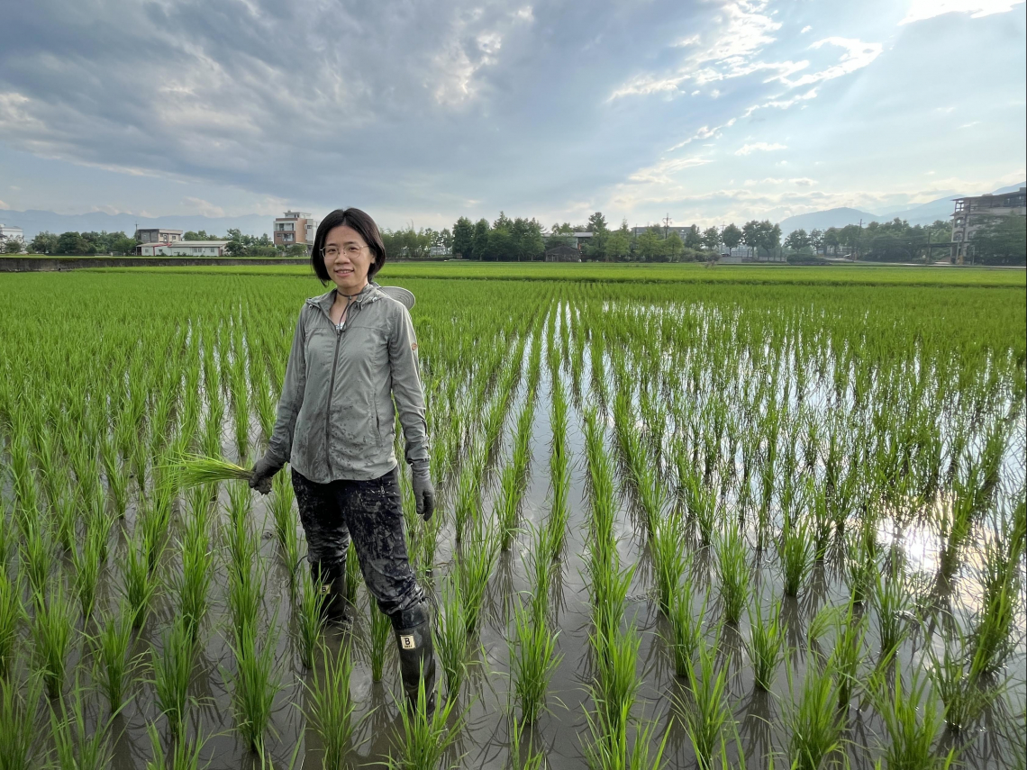 宜蘭每年長出300棟農舍，消失75公頃農地！ 她發起「一坪地主計畫」 534人集資守護一塊田