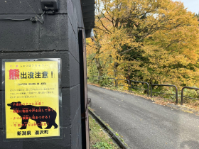 走入川端康成「雪國」源想地、入住900年歷史旅店！謝金河細數日本千年百年企業：在中國很少見