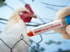 全球首例！美國爆「H5N5禽流感」人類感染喪命，會人傳人？疾管署出面說明了：第一級旅遊警示