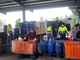 廚餘新制出爐！雙北「廚餘紅藍桶」再來怎麼分？禁養豬後廚餘分類、怎麼丟？台中、台南、高雄規定一次看