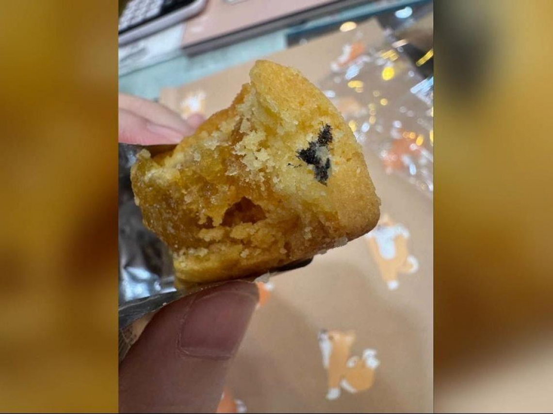 佳德鳳梨酥出包？消費者控有「黑色異物」怎麼來的？佳德回應…衛生局稽查揪2缺失：未改善最高罰2億