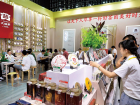 泛茶、大益茶暴跌  拆解「崩盤說」謎團    普洱茶市場回歸理性  價格泡沫後的真相