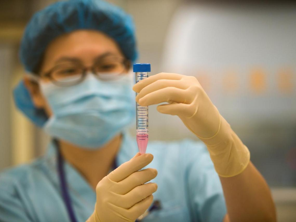 「人工生殖法」放寬女女同婚、未婚女性適用，政院拍板！「代理孕母」為何脫鉤處理？理由曝光