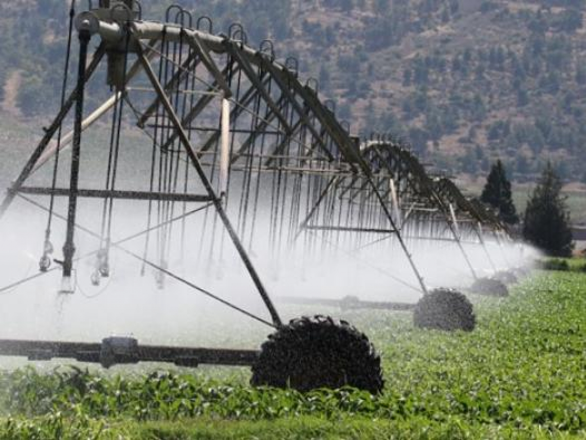 全球升溫3°C等同每天少一餐？氣候危機不只影響產量，為何還會讓作物營養下降、糖分提高