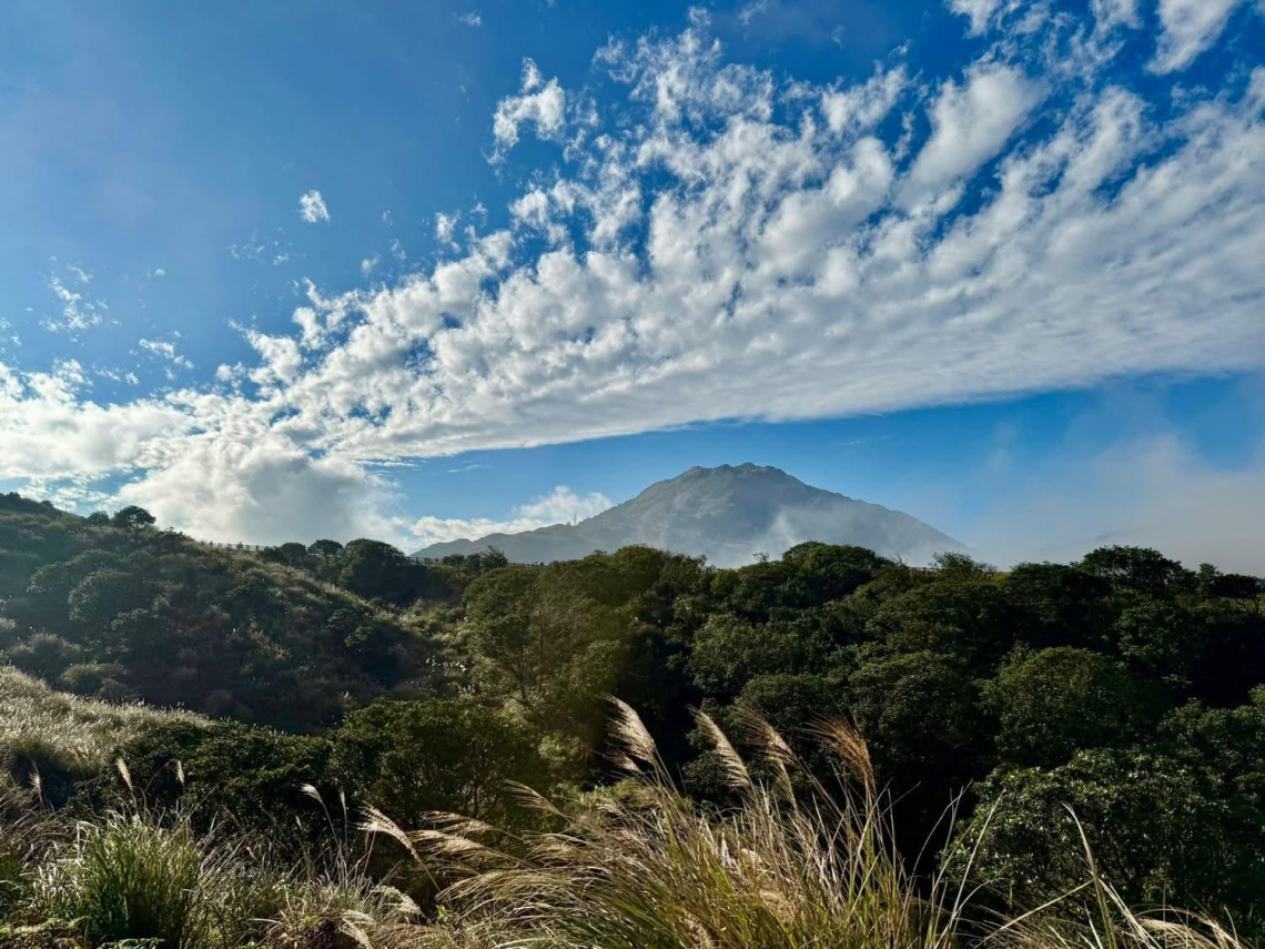 「擎天崗泰半淒風苦雨，今竟見到蔚藍天空！」謝金河捷兔上磺溪、許顏橋：牛群構成一幅美麗的圖案