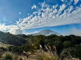 「擎天崗泰半淒風苦雨，今竟見到蔚藍天空！」謝金河捷兔上磺溪、許顏橋：牛群構成一幅美麗的圖案