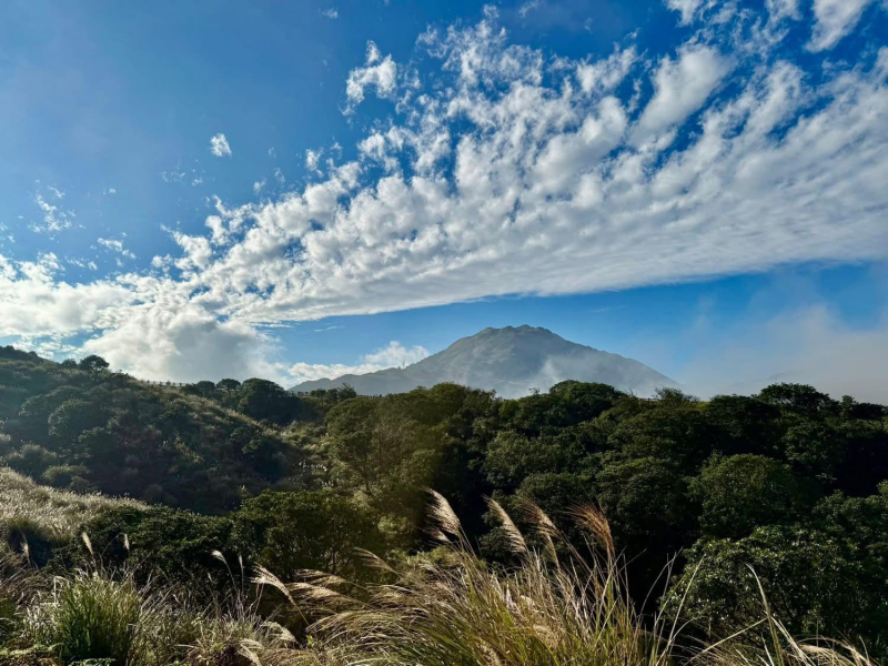 「擎天崗泰半淒風苦雨，今竟見到蔚藍天空！」謝金河捷兔上磺溪、許顏橋：牛群構成一幅美麗的圖案