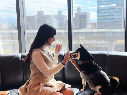 「終於等到這一天！」台中李方艾美宣布寵物可入住 毛孩也能住五星級飯店