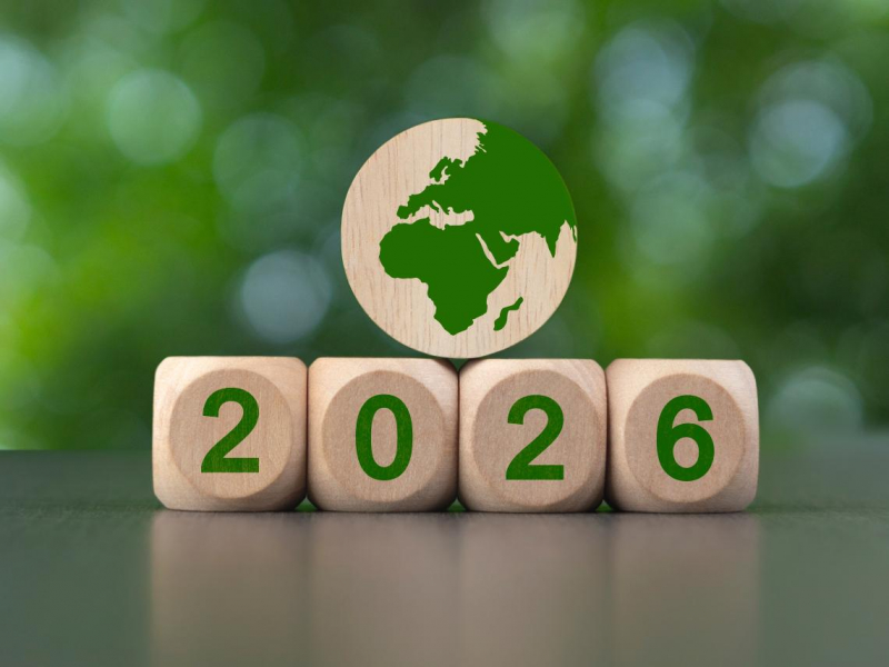 永續金融的十字路口：COP30 後全球永續投資新秩序與台灣策略