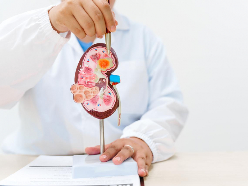 「我才26歲，為何腎就沒了」每天兩杯手搖飲，換來終身洗腎！年輕人「5大傷腎惡習」等有感覺腎已壞掉70％