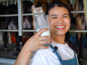 羊糞變成有機肥！新鮮奶香打破羊羶味 一代打造循環羊舍　二代創新永續品牌