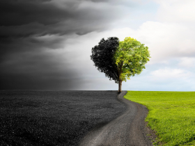 存股助理第751期—5年均線的投資心法—冤魂的墓碑還是長多頭起點?