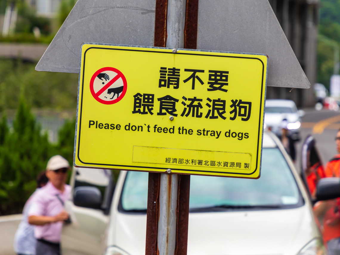 浪犬追學生、咬鵝群！1愛媽被罰逾8萬罰不怕…他提修法「餵食者算飼主」需負責，動保反彈這樣說