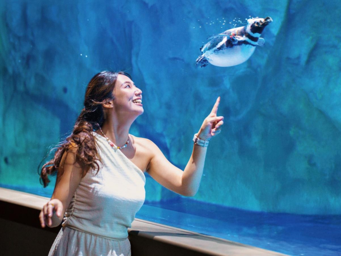 台中觀光品牌化戰略奏效！海線雙星接力、26條國際航線齊發　打造旅遊新熱潮