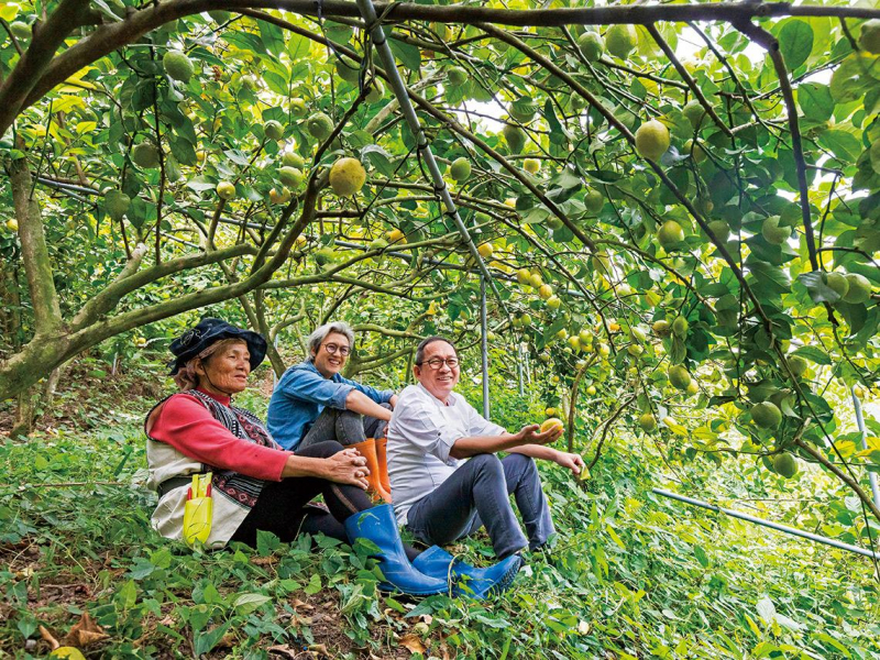 客運到不了的地方