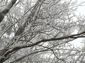 天氣／寒流6度最冷時間還沒到！過年前一週哪天乾冷轉濕冷？何時回暖？10日預報採買年貨必看