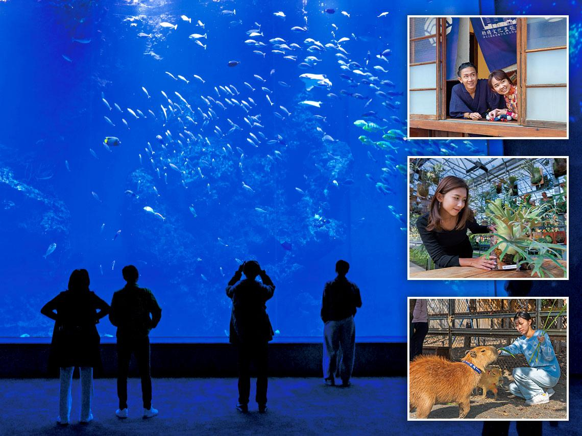 全台生態走春地圖