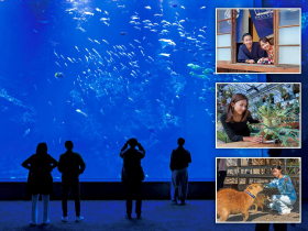 全台生態走春地圖