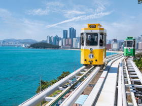 便宜機票、機票優惠來了！16家航空熱門航線「最低55折」…日航豪送85折，飛新加坡單程2138元起