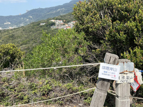 台股封關跟著放假！謝金河從沒搭過貓纜...享受一個人山徑獨行：看著山景是人生難得輕閒的意境
