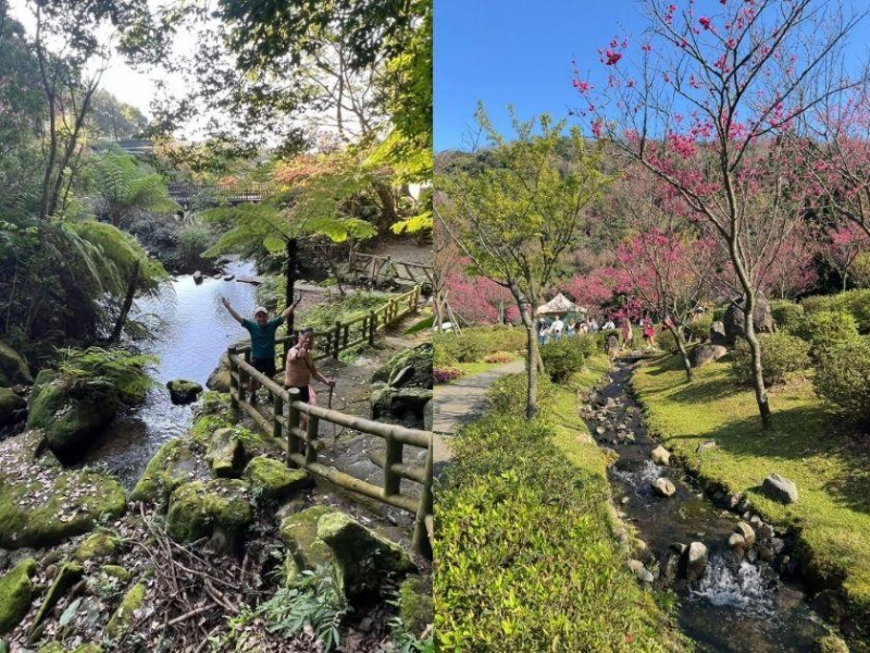 陽明山驚艷秘境！謝金河帶路走陽峰古道、大屯瀑布美到像仙境：回程來吃馬頭魚、豆乾＋香腸超開心