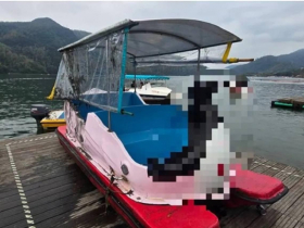 天鵝船奪命真相曝光？一家5口同遊鯉魚潭，8歲童受困船底溺斃...在地業者、網友怒批「2大長期亂象」無人管