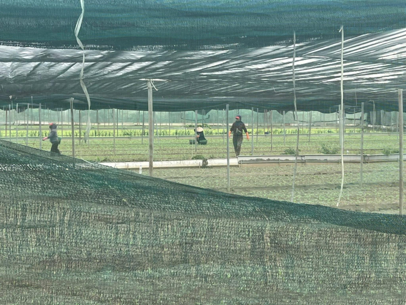 農村缺工嚴重「沒有他們不行」卻陷灰色兩難...謝金河走訪濁水溪見偷倒成堆，嘆故鄉淡淡的憂愁