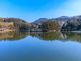 水面畫布上的光影流動，莫內《睡蓮》如何捕捉光線的多重面貌