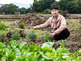 桃園市福德里》呂宜政推食農永續  智慧關懷弱勢 從零到有  他把里長當行政創業來做