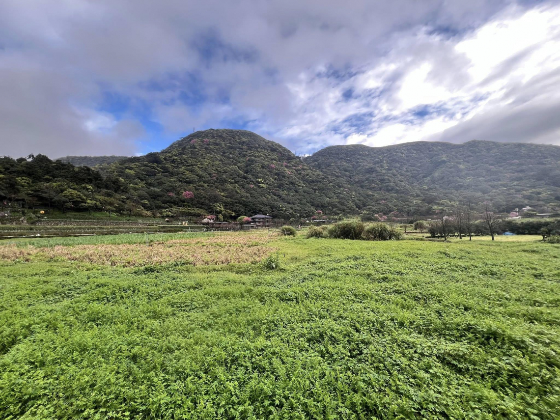 清晨雨天漫步竹子湖，青山翠谷顯得特別靜謐...踩著拖鞋、淋著小雨，謝金河：心裡有一股舒暢感