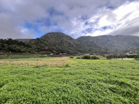 清晨雨天漫步竹子湖，青山翠谷顯得特別靜謐...踩著拖鞋、淋著小雨，謝金河：心裡有一股舒暢感