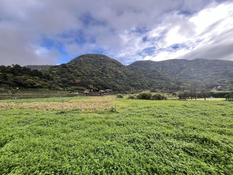 清晨雨天漫步竹子湖，青山翠谷顯得特別靜謐...踩著拖鞋、淋著小雨，謝金河：心裡有一股舒暢感