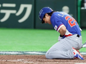 WBC／陳傑憲骨裂成第3傷兵，台灣隊能再補人？經典賽賽會規定曝光：「1情況」唯一例外