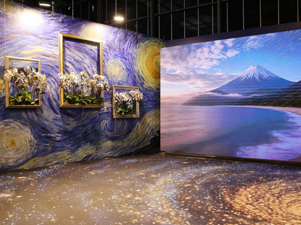 2026台灣國際蘭展登場　「綻放台灣」四大亮點一次掌握