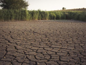 下雨要繳錢！德國如何用雨水費吸住每一滴水，找到海綿城市新水源？