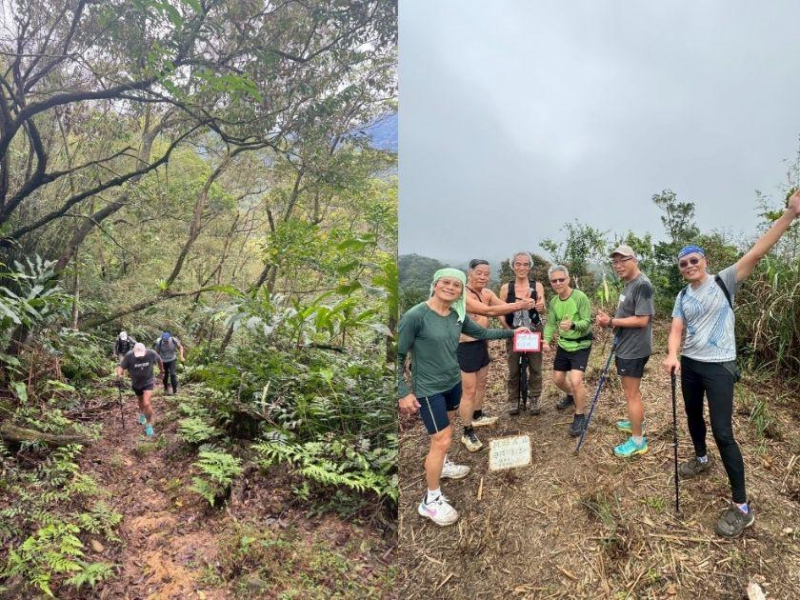 蔡英文揪團掀綠營爬山熱潮，童子瑋、蔡易餘、王義川比誰最喘…謝金河：政治不必搞太殺戮