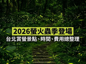 2026螢火蟲季登場！大安森林公園免費賞螢，台北動物園、陽明山、坪林...賞螢時間、費用、注意事項一次看