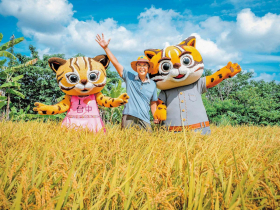 從產地到頂級餐桌的精品變現　結合ESG與品牌美學 「台中領鮮」成為一門好生意