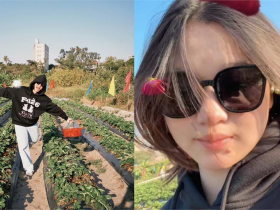 全紅嬋為什麼被霸凌？群組282人記者隊友裁判都在：禁止攻擊運動員，全紅嬋除外！國家級醜聞開告會贏？