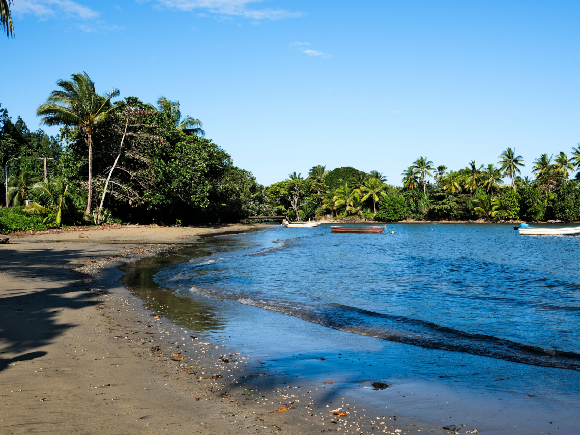 99年的約定！用投資利息守護一片森林 借鏡斐濟環境信託　看台灣保育下一哩路
