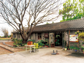 食當季吃在地  探訪餐桌上的產地故事 嘗一口台中在地滋味