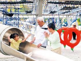 打造城市綠色客廳  台中美樂地公園 全齡共融的日常場域