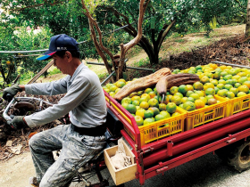 串聯在地農產　打造一站式選購體驗  「臺中領鮮」 不只領先，更懂新鮮！