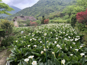 竹子湖餐廳哪間最好吃？謝金河揭看「這道菜」最準，私心推薦這間餐廳能選菜還有清蒸鱸魚必點