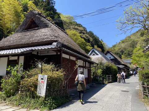 孩子留學、老公駐外，她退休後「銀髮游牧」：短居雪梨、遊學京都…把自己活好，就是給兒女最好支持