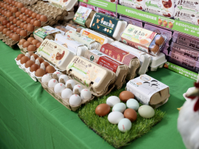 讓母雞住別墅，快樂產下好蛋！ 因食安風暴走入養雞場　家樂福蛋革命8年有成