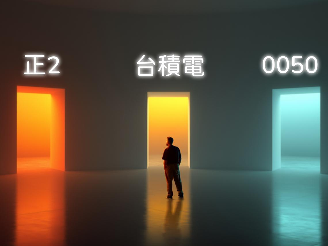 散戶狂搶正2有理？台積電(2330)、0050、00631L該買誰？10年報酬差距曝光！老手放棄0050改抱「這1檔」揭黃金配置法