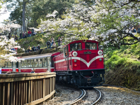 2026國旅補助最新／8月抽生日住宿金、最快9月上路！住宿補貼能領3200元、遊樂園、Taiwan PASS…資格懶人包